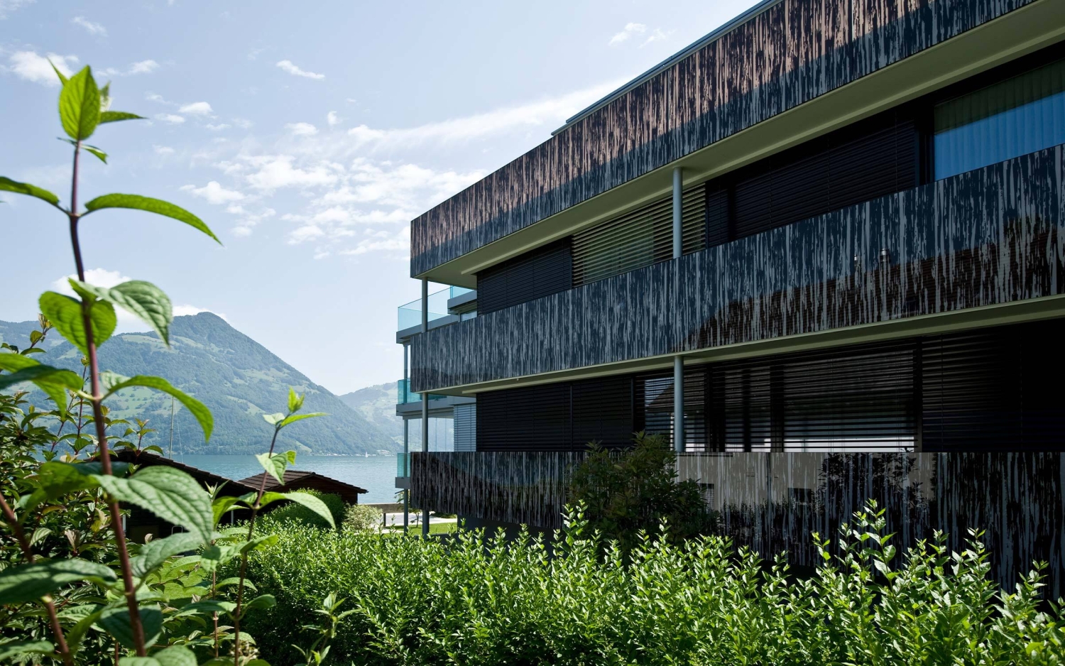 Bachegg beckenried quer f r asset management ag 15